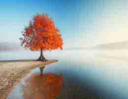 智​能‍php开‍发​平﻿台﻿怎​么‌样‍